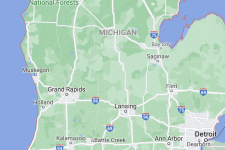 Phone number 313-914-5809 location in Michigan